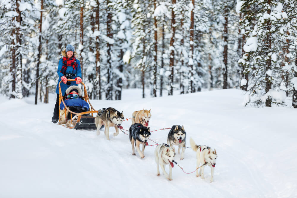 Palas Resort - Experiential activities - Husky safari
