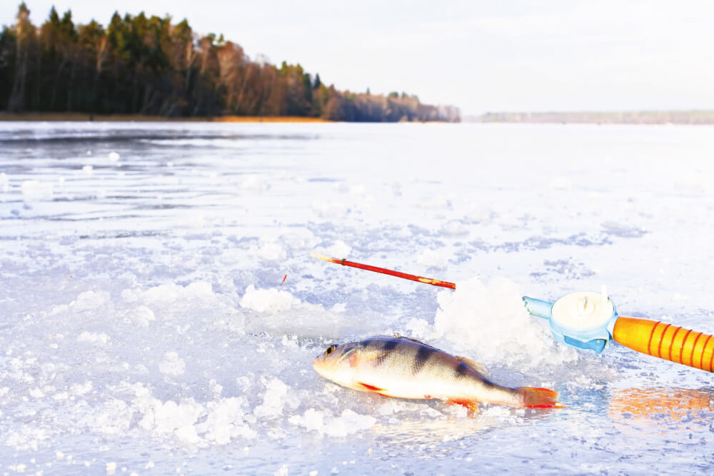 Palas Resort - Experiential activities - Ice fishing
